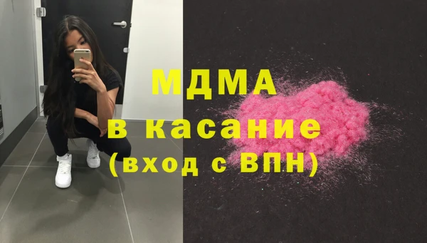МДПВ Бородино
