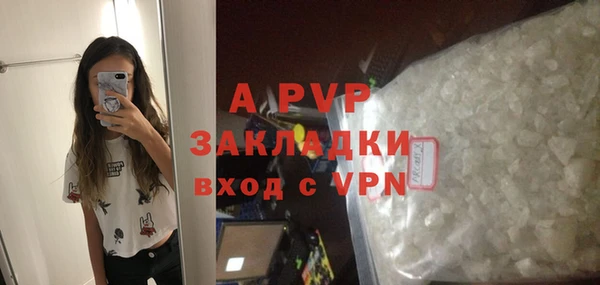 МДПВ Бородино