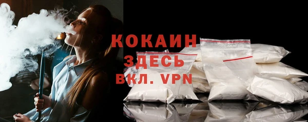 мдпв Богданович