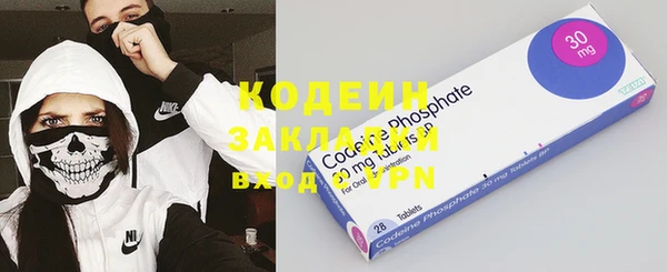 МДПВ Бородино