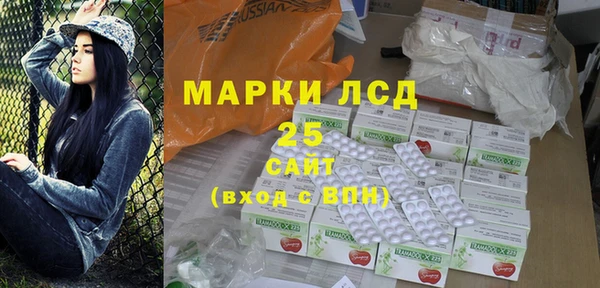 МДПВ Бородино