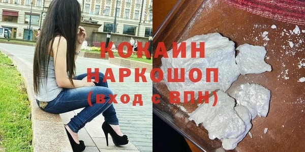 МДПВ Бородино