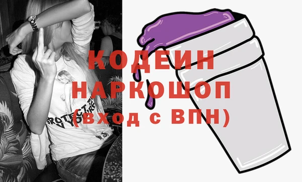 МДПВ Бородино