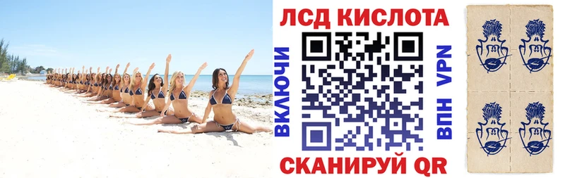 Марки N-bome 1,8мг  где купить наркоту  shop формула  Кингисепп 