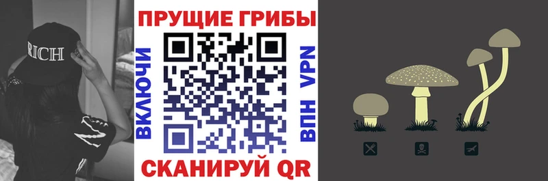 Галлюциногенные грибы Magic Shrooms закладки Кингисепп