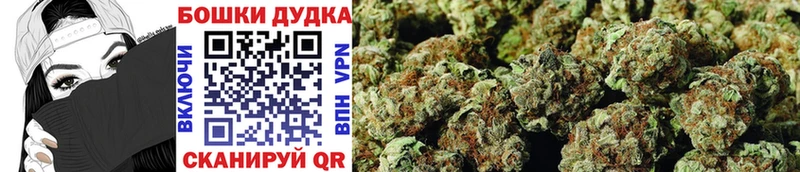 Марихуана ГИДРОПОН Кингисепп